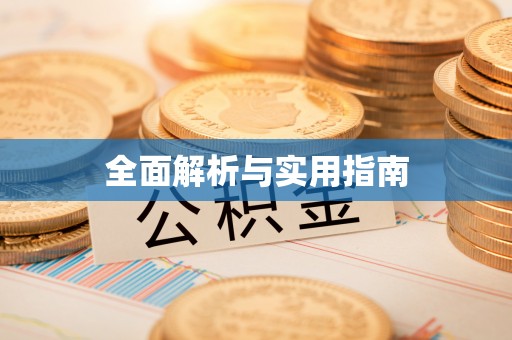 乐东全面解析与实用指南
