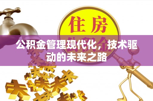 乐东公积金管理现代化，技术驱动的未来之路